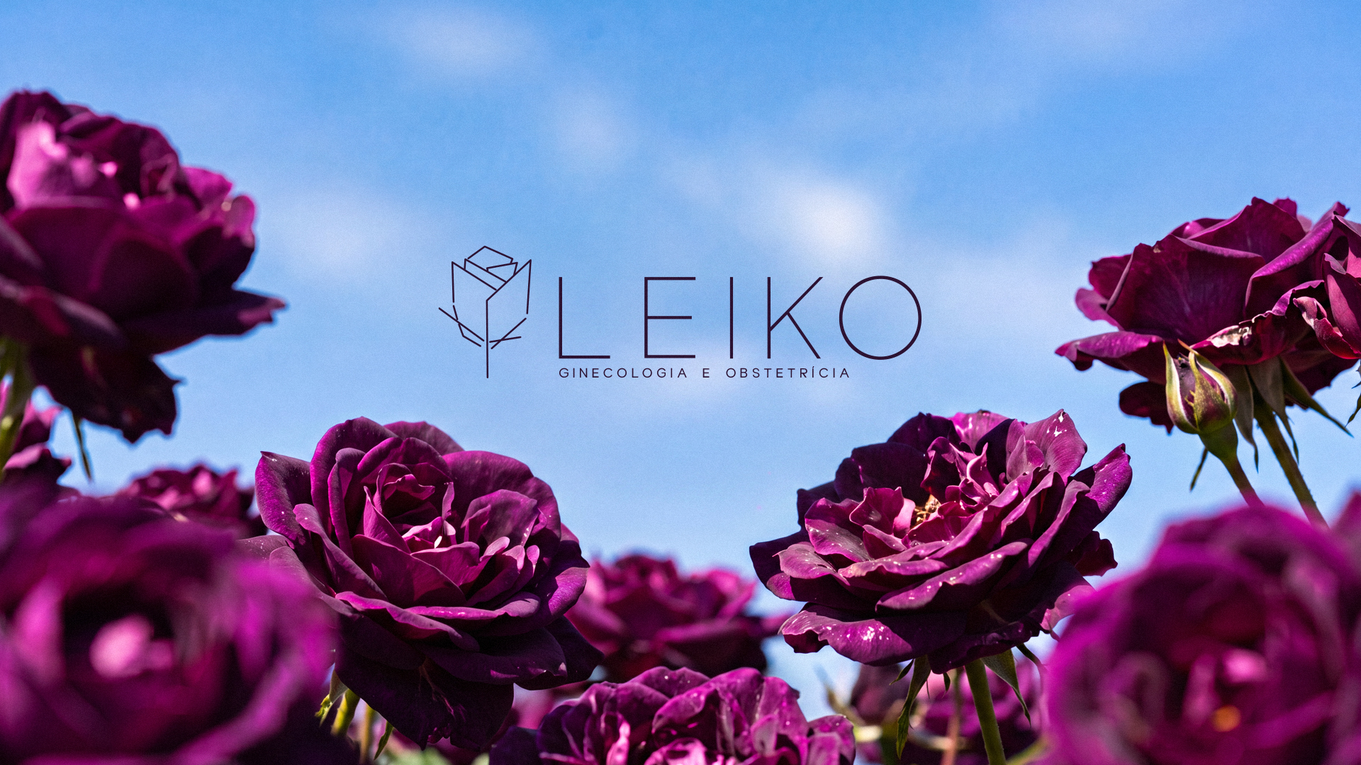 Imagem de abertura do projeto Leiko